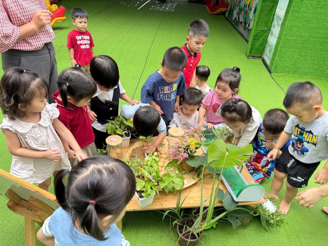 Trường Mầm Non Hạnh Phúc