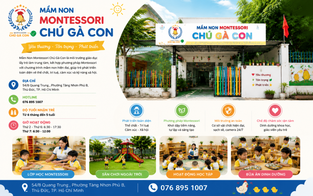Mầm Non Chú Gà Con